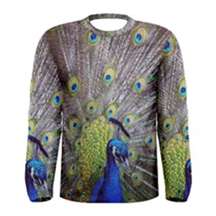 Peacock Bird Feathers Men s Long Sleeve Tee by Simbadda