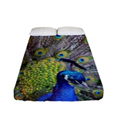 Peacock Bird Feathers Fitted Sheet (full/ Double Size)