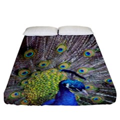 Peacock Bird Feathers Fitted Sheet (california King Size) by Simbadda