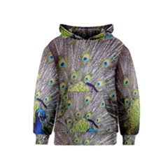 Peacock Bird Feathers Kids  Pullover Hoodie by Simbadda