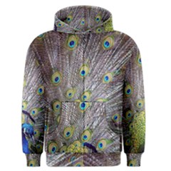 Peacock Bird Feathers Men s Zipper Hoodie by Simbadda