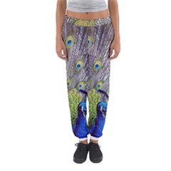 Peacock Bird Feathers Women s Jogger Sweatpants by Simbadda