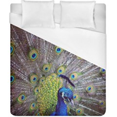 Peacock Bird Feathers Duvet Cover (california King Size) by Simbadda