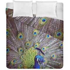 Peacock Bird Feathers Duvet Cover Double Side (california King Size)