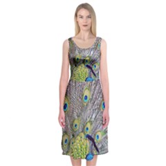 Peacock Bird Feathers Midi Sleeveless Dress by Simbadda