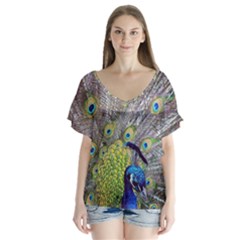 Peacock Bird Feathers Flutter Sleeve Top