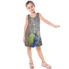 Peacock Bird Feathers Kids  Sleeveless Dress