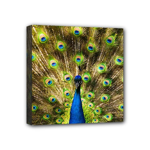 Peacock Bird Mini Canvas 4  X 4  by Simbadda