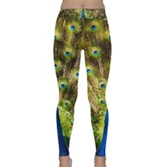 Peacock Bird Classic Yoga Leggings by Simbadda