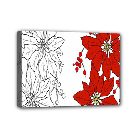 Poinsettia Flower Coloring Page Mini Canvas 7  X 5  by Simbadda