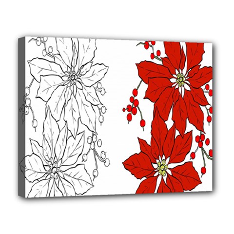 Poinsettia Flower Coloring Page Canvas 14  X 11  by Simbadda