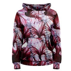 Jellyfish Ballet Wind Women s Pullover Hoodie