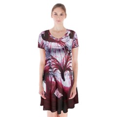 Jellyfish Ballet Wind Short Sleeve V-neck Flare Dress by Simbadda