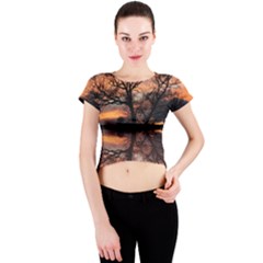 Aurora Sunset Sun Landscape Crew Neck Crop Top by Simbadda