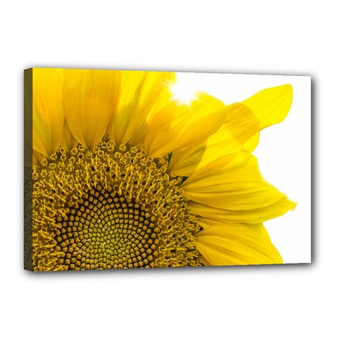 Plant Nature Leaf Flower Season Canvas 18  X 12  by Simbadda