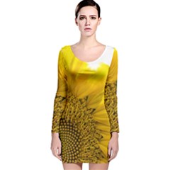 Plant Nature Leaf Flower Season Long Sleeve Velvet Bodycon Dress