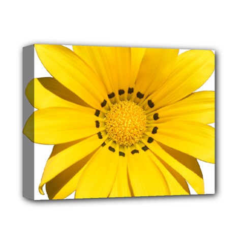 Transparent Flower Summer Yellow Deluxe Canvas 14  X 11  by Simbadda