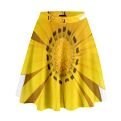 Transparent Flower Summer Yellow High Waist Skirt by Simbadda