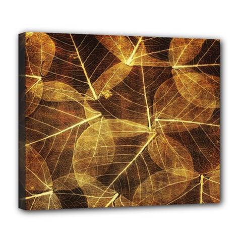 Leaves Autumn Texture Brown Deluxe Canvas 24  X 20   by Simbadda