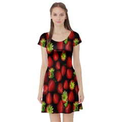 Berry Strawberry Many Short Sleeve Skater Dress by Simbadda