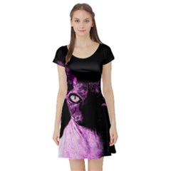 Pink Sphynx Cat Short Sleeve Skater Dress by Valentinaart