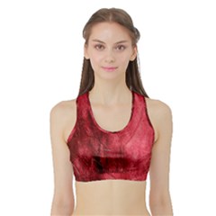 Red Background Texture Sports Bra With Border by Simbadda