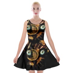 Sphynx Cat Velvet Skater Dress