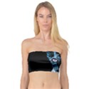 Blue Sphynx cat Bandeau Top View1