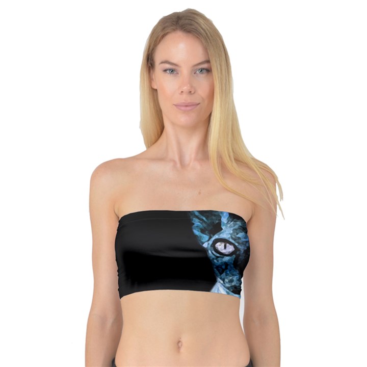 Blue Sphynx cat Bandeau Top