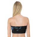 Blue Sphynx cat Bandeau Top View2