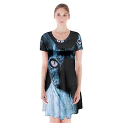 Blue Sphynx Cat Short Sleeve V-neck Flare Dress by Valentinaart