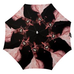 Sphynx Cat Straight Umbrellas by Valentinaart