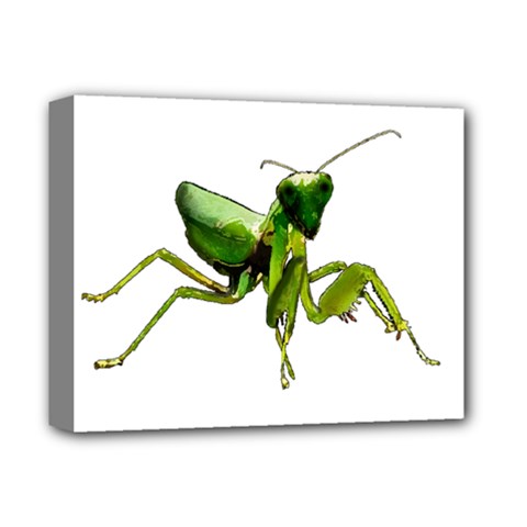 Mantis Deluxe Canvas 14  X 11  by Valentinaart