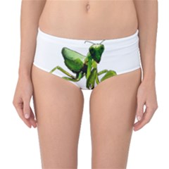 Mantis Mid-waist Bikini Bottoms by Valentinaart