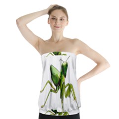 Mantis Strapless Top by Valentinaart