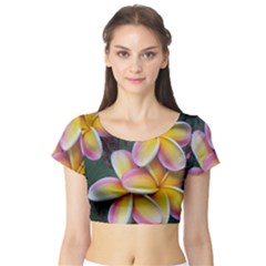 Premier Mix Flower Short Sleeve Crop Top (tight Fit) by alohaA