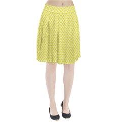 Pattern Pleated Skirt