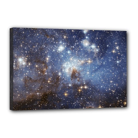 Large Magellanic Cloud Canvas 18  X 12  by SpaceShop