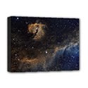 Seagull Nebula Deluxe Canvas 16  x 12   View1