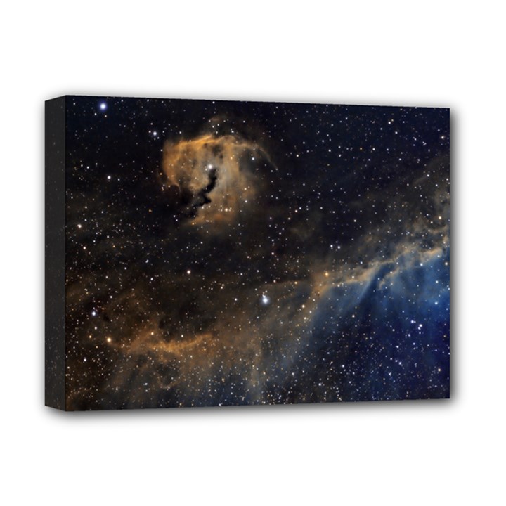 Seagull Nebula Deluxe Canvas 16  x 12  