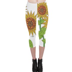 Sunflowers Flower Bloom Nature Capri Leggings  by Simbadda