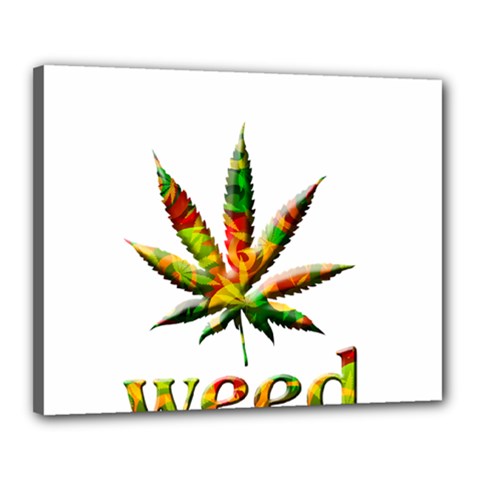 Marijuana Leaf Bright Graphic Canvas 20  X 16 