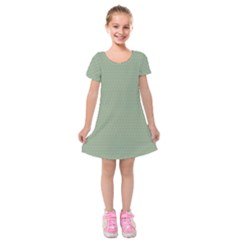 Mardi Gras  Kids  Short Sleeve Velvet Dress