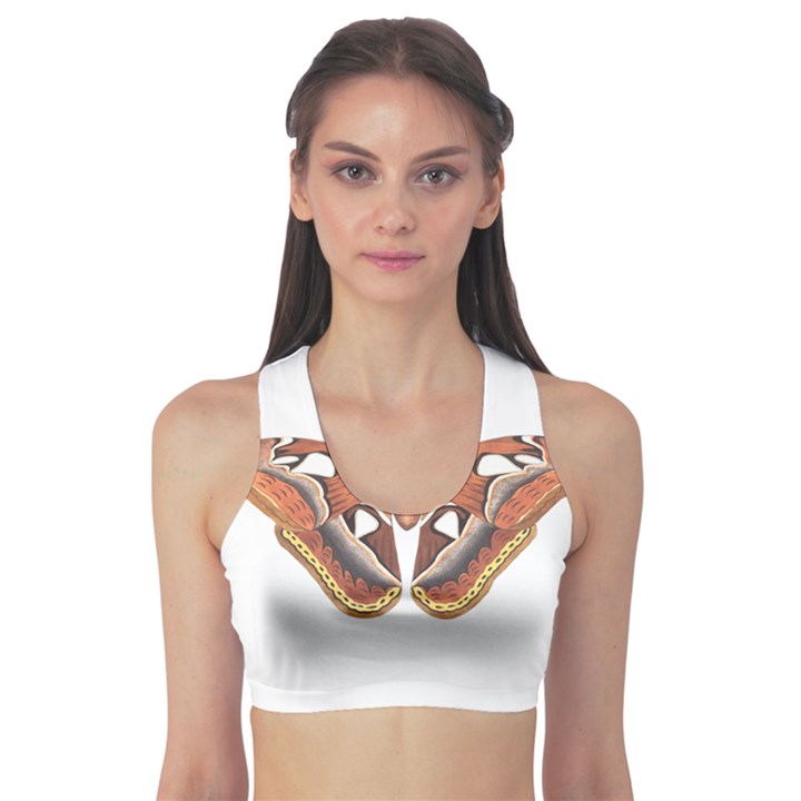 Butterfly Animal Insect Isolated Sports Bra