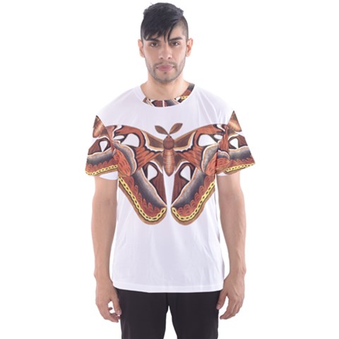 Butterfly Animal Insect Isolated Men s Sport Mesh Tee by Simbadda