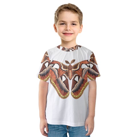 Butterfly Animal Insect Isolated Kids  Sport Mesh Tee by Simbadda