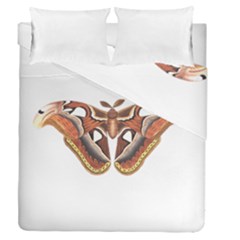 Butterfly Animal Insect Isolated Duvet Cover Double Side (queen Size) by Simbadda