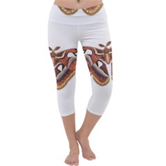 Butterfly Animal Insect Isolated Capri Yoga Leggings