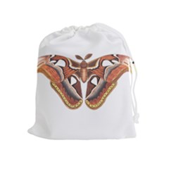 Butterfly Animal Insect Isolated Drawstring Pouches (extra Large) by Simbadda