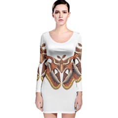 Butterfly Animal Insect Isolated Long Sleeve Velvet Bodycon Dress